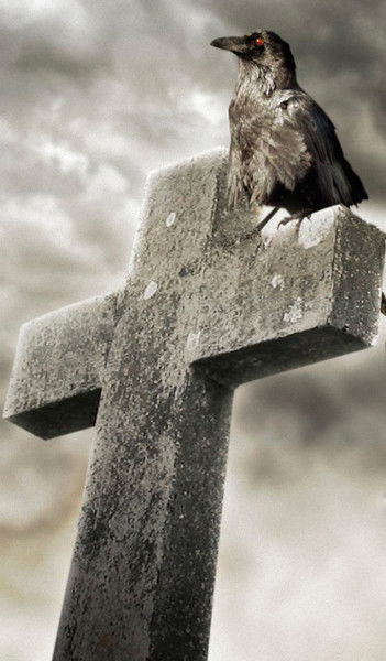 Серж Доронин