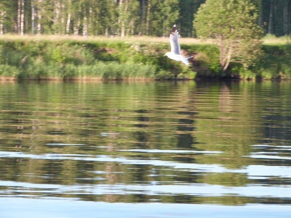 Татьяна Фамилия