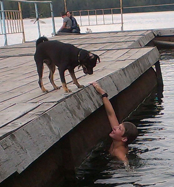 Глеб Милютин