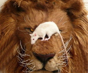 Сергей Абсалямов