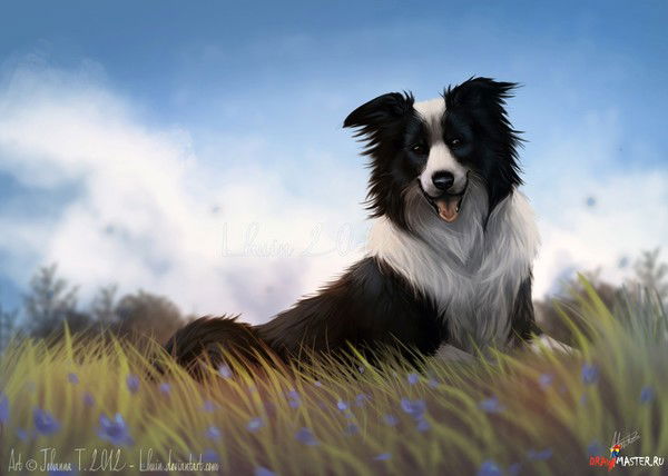 Астана Парень