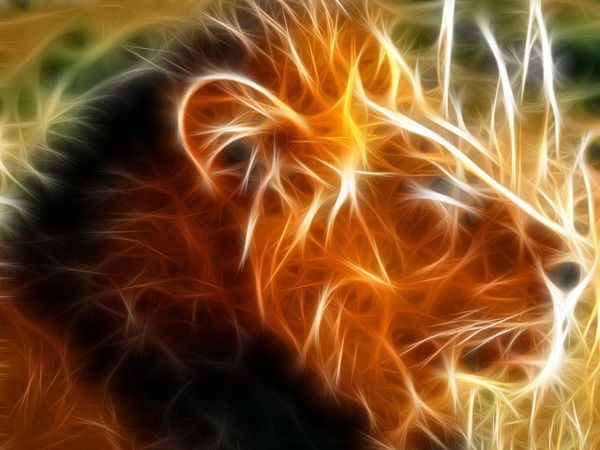 Андрей Анатольевич