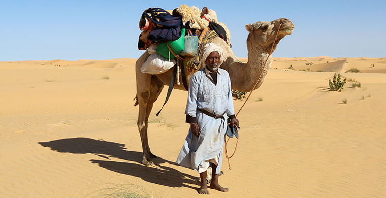 Жжжжжжжж Жжжжжжжж