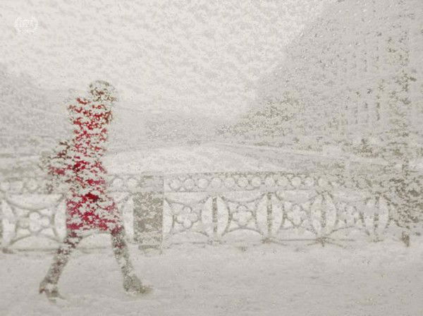 Елена Булкина