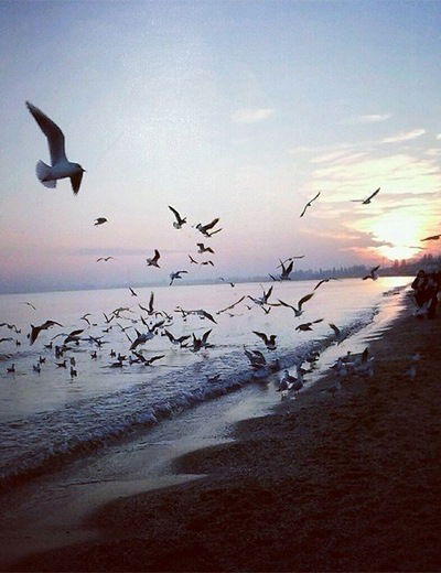 Нина Белявская