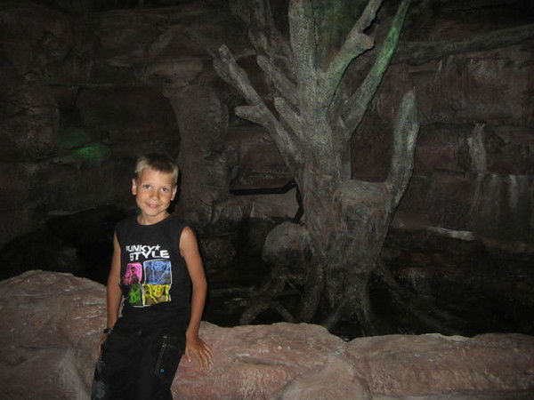 Тихоненко Владимер