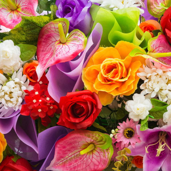 Наталья Аст