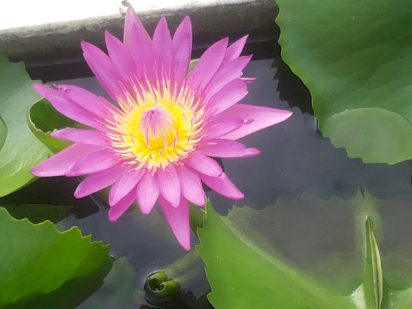 Наталья Пономарёва