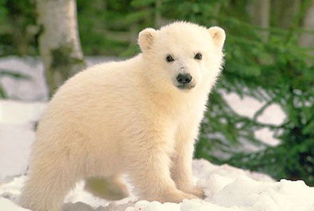 Елена К,,,,,,,