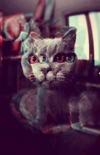 Кристина Суханова