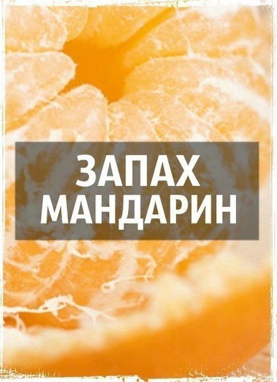 Яна Чернышева