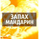 Яна Чернышева