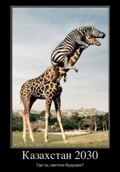 Акылбек Абдибаев