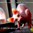 .,,миша.,, ,