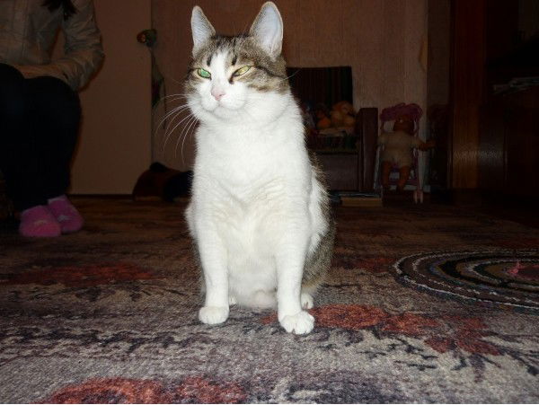 Евген Власов