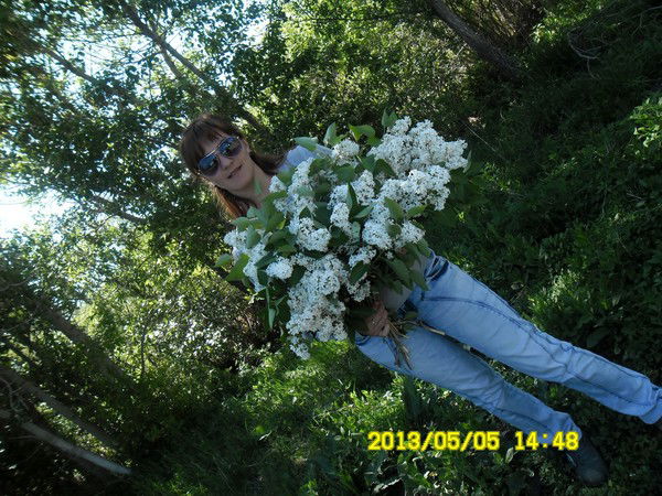 Светик Дрямова