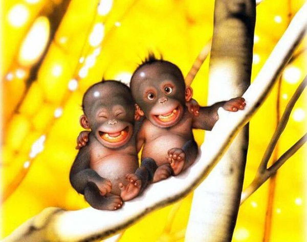 Миша Плёнкин