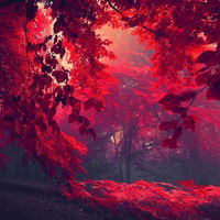 Андрей Расновский