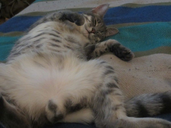 Роман Багров