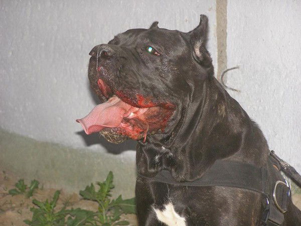 Евгения Васильева