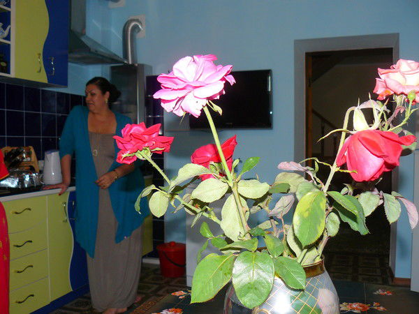 Наталья Горбунова