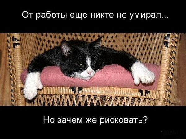 Александр Шило