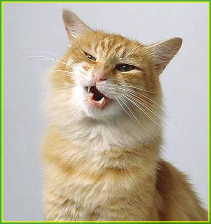 Евгений Беристов