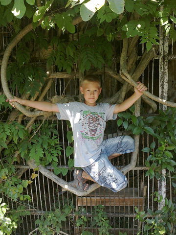 Егор Шебалов