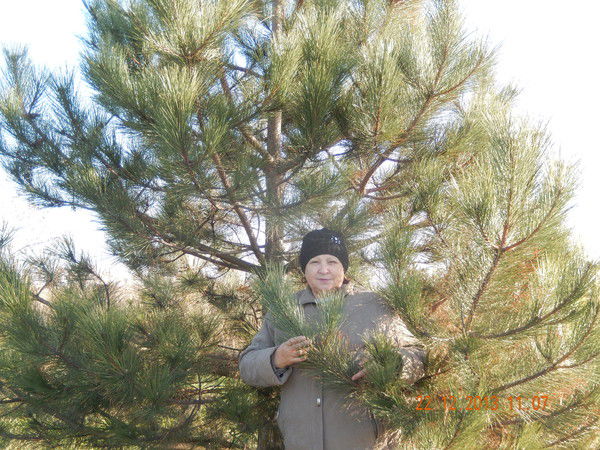 Наталия Подакова