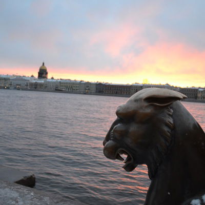 Николай Полихронис