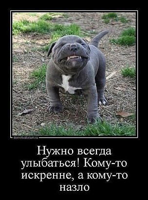 Артур Артуров