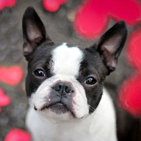 Настя Гутникова