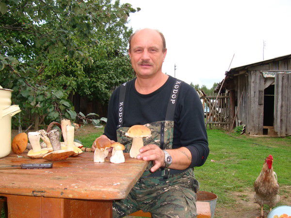 Андрей Абрамов