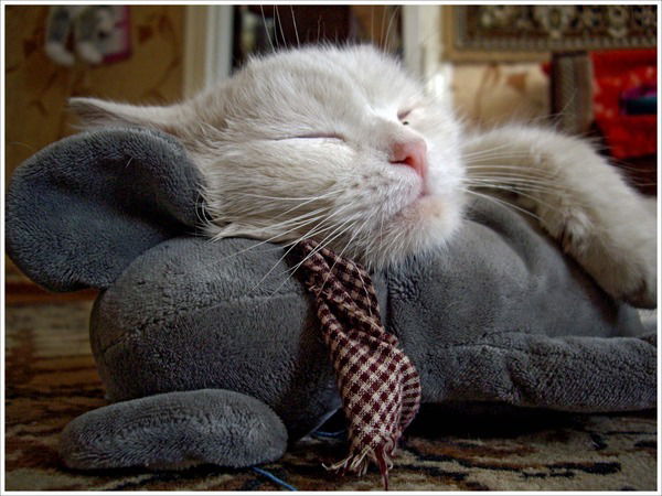 Ирина Безсалова