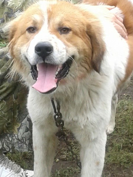 Алексей Иванов