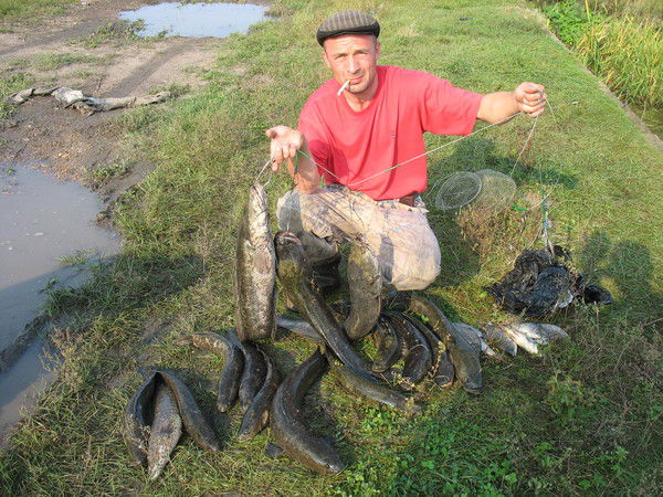 Денис Олефир