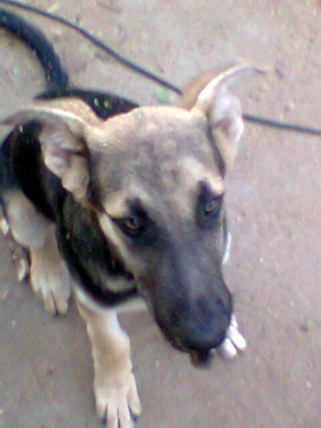 Анатолий Жеребятьев