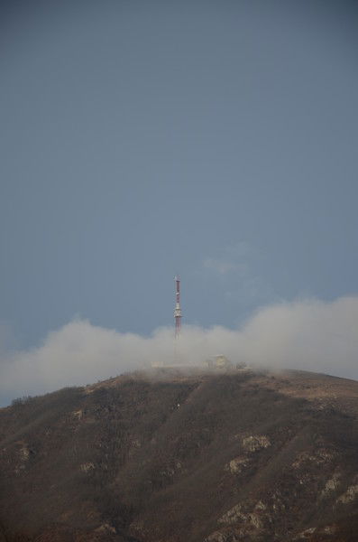 Станислав Куровский