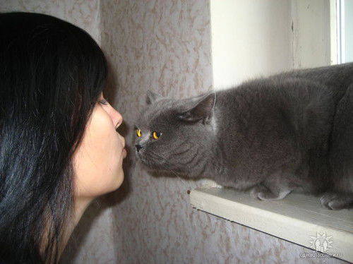 Валерия Вострова