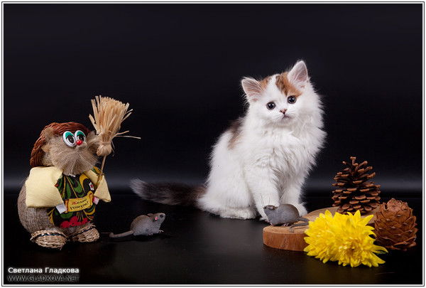 Наталья Мелихова