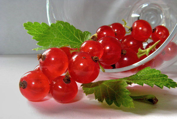 Тамара Куриленко