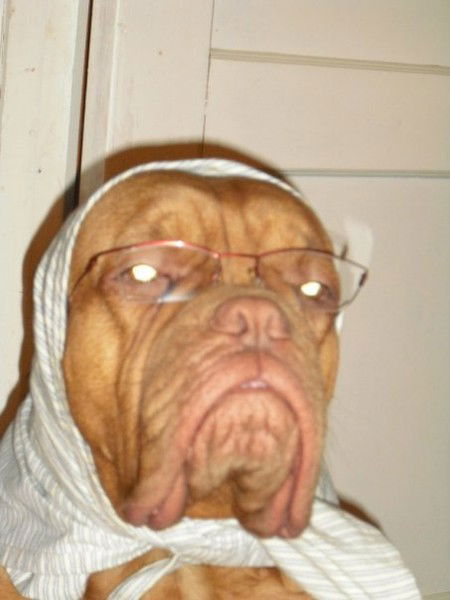 Ванька Иванов