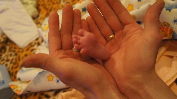 Елена Федотова