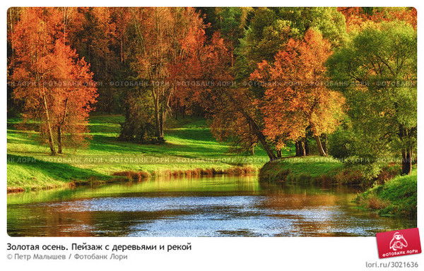 Костя Шеболдасов