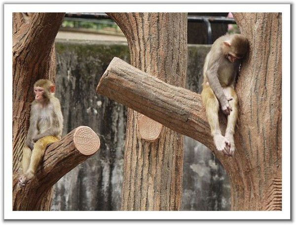 Рамзан Эльмурзаев