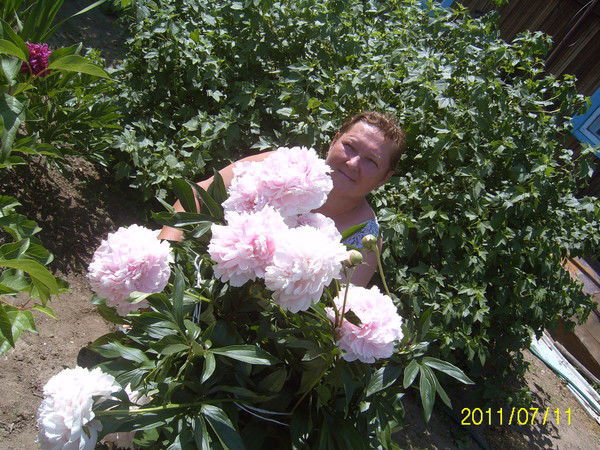 Надежда Домницкая