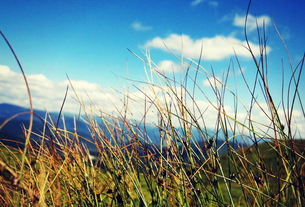 Техноторг 48