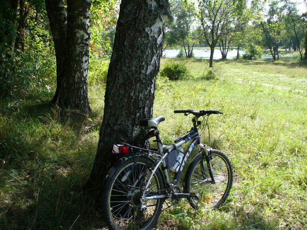 Павел Лопатин