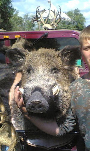 Андрей Макушин