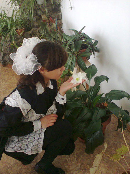 ...папина ... ..дочурка..